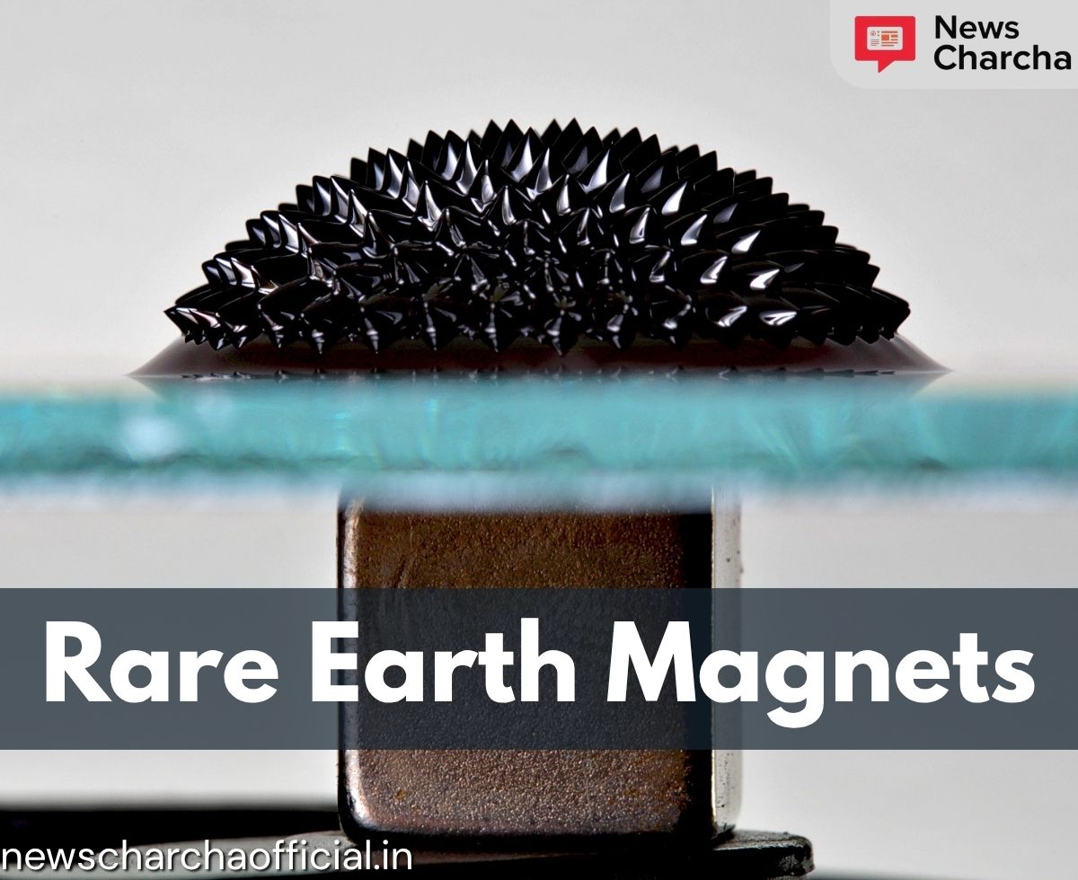 Rare Earth Magnets